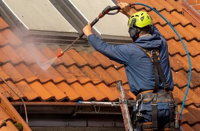 Démoussage et hydrofuge de toiture à Périgneux